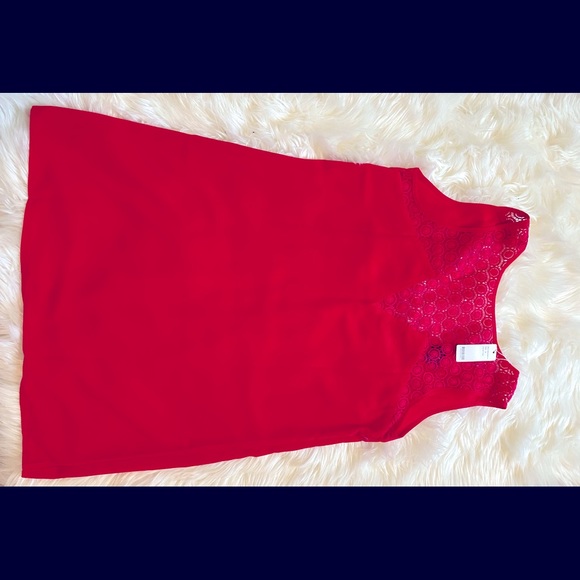 NWT shift dress size medium - Picture 3 of 4